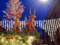 Image 09.12.14 at 22.14